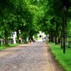 Tour 6: Naturpark Usedom
